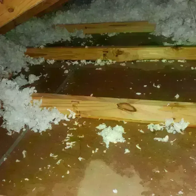 Attic Water Damage in Murray County, MN